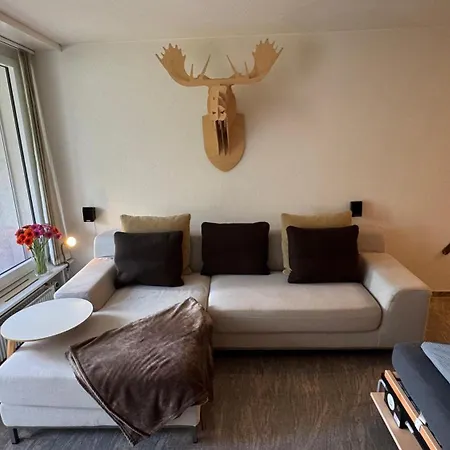 Stylish Alpine In Davos, Wifi & Netflix * Davos