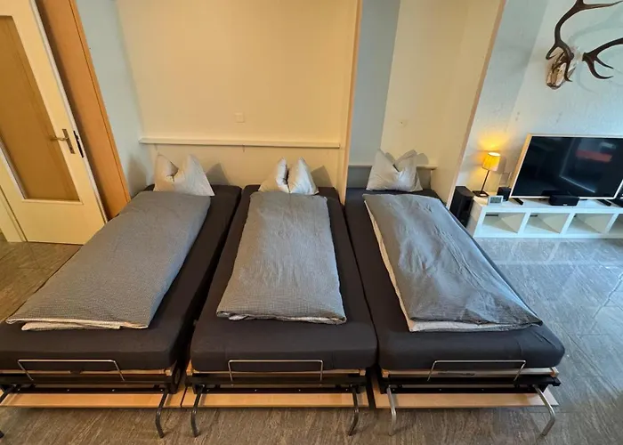 Stylish Alpine In Davos, Wifi & Netflix Davos