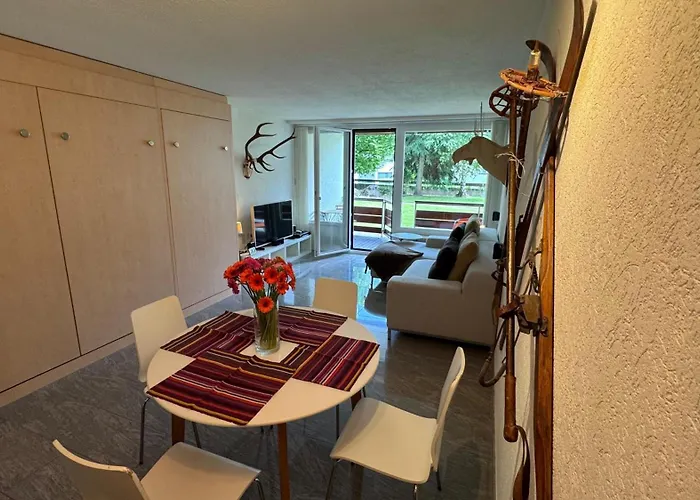 Stylish Alpine In Davos, Wifi & Netflix Apartment