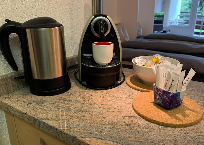 Stylish Alpine In Davos, Wifi & Netflix Davos